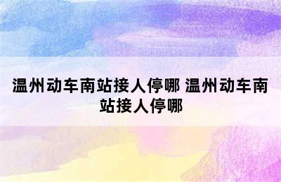 温州动车南站接人停哪 温州动车南站接人停哪